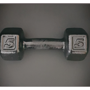 Mancuerna de Fundicion 5KG