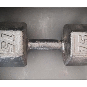 Mancuerna de Fundicion 15KG