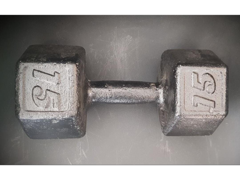 Mancuerna de Fundicion 15KG