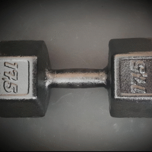 Mancuerna de Fundicion 17,5KG