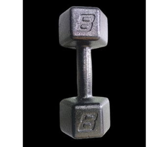 Mancuerna de Fundicion 8KG