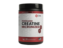Creatine Micronized 500Grs