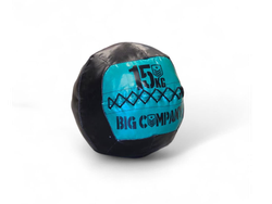 Medicine Ball Standard 15KG